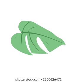 Monstera leaf abstract vector element 