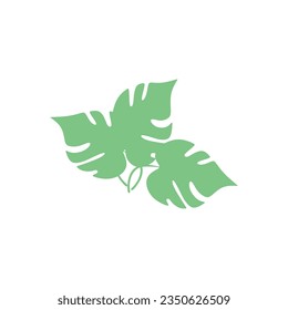 Monstera leaf abstract vector element 