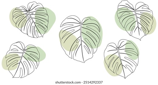 Diseño del Vector de la ilustración del arte de la hoja de Monstera con el color verde claro saturado