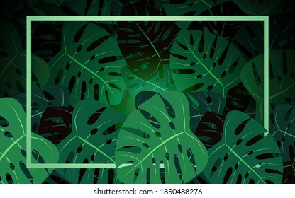 Monstera leaf background with frame