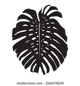 monstera leaf, black silhouette icon