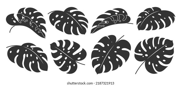 Monstera leaf black silhouette stamp set. Tropical exotic plant branch stencil. Summer hawaiian jungle foliage scrapbooking cutting. Floral logo design element. Single flat leaves isolated on white