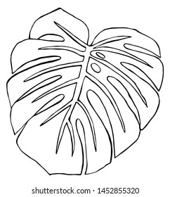 Monstera leaf. Black and white illustration. Drawn by hand. Isolated on white. Design for card, poster or wallpaper. There is an option in the vector.