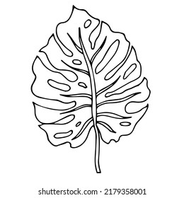 monstera leaf black and white isolated on a white background