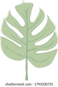 Monstera leaf boho interior stylish plant 
