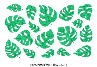 Monstera leaf cartoon set. Tropical green plant collection. Hand drawn nature exotic elements jungle. Flat vector Isolated illustration