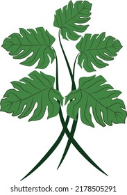 Monstera leaf clip art stacked on top of each other.vector