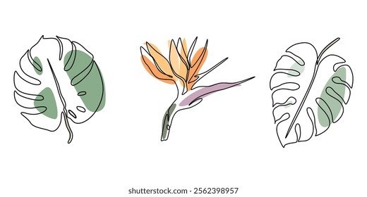Monstera Leaf Continuous Line Drawing with Editable Stroke, Set of continuous one line drawing of monstera leaves and paradise flower. Beautiful floral linear tropical art isolated on a white.