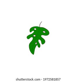 Monstera leaf contour drawing. Minimal art leaves isolated on white backgroud. doodle style