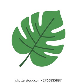 Monstera leaf depicted as a clean vector graphic on a white background for interior decor and botanical branding projects