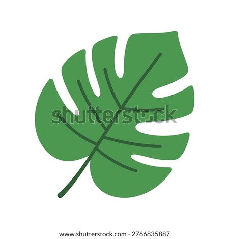 Monstera leaf depicted as a clean vector graphic on a white background for interior decor and botanical branding projects