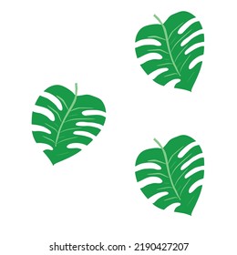 Monstera Leaf Design Minimalist Pattern