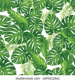 monstera leaf design seamless pattern