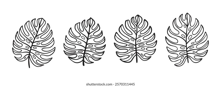 Monstera leaf doodle hand drawn icon set. Outline drawing tropical Monstera leaves line clipart symbol collection. Vector illustration