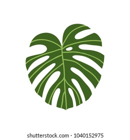 monstera leaf doodle icon