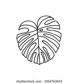 monstera leaf doodle icon