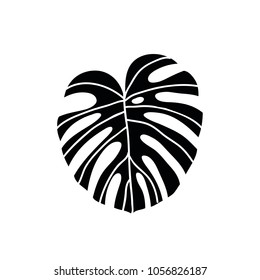 monstera leaf doodle icon