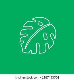 monstera leaf doodle icon