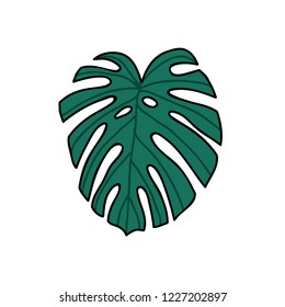 monstera leaf doodle icon