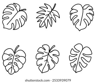 Monstera Leaf Elegante Linie Art Design