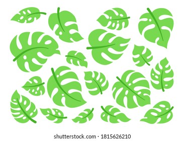 Monstera leaf flat set. Tropical green plant cartoon collection. Hand drawn nature exotic elements jungle. Vector Isolated illustration