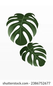 Afiche artístico de la pared de flores de la hoja de Monstera. La Decoración De La Pared De La Hoja De Monstera. Afiche del decorador de arte de la pared botánica