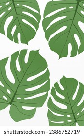 Monstera Leaf Flower Wall Art Poster. Monstera Leaf Wall Decor. Printable Botanical Wall Art Decor Poster