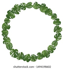 Monstera leaf. Frame with paradise leaves on white background. Vector illustration. Summer floral design. Botanical art. Natural card design. Set with green monstera leaves. Tropical illustration.