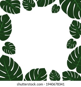 Monstera leaf frame. Vector illustration banner background from plants. Isolated on a white background. In a flat style.
