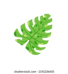 Monstera leaf. Geen houseplan, tropical plant for green print. Flat cartoon illustration isolated on white