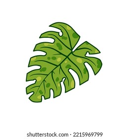 Hoja de Monstera. Plano de casa verde, planta tropical para huella verde. Ilustración de dibujos animados planos aislados en blanco