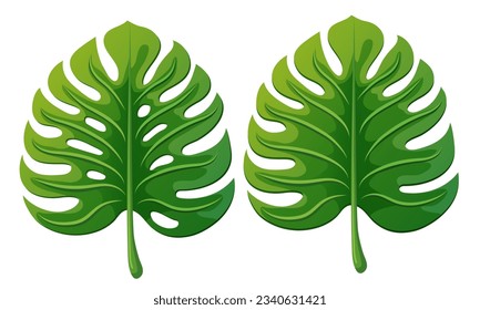 Monstera leaf. Green icon isolated on a white background. Vector clipart.