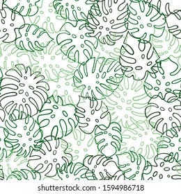 Monstera leaf green outline pattern on white background. Plant leaf seamless pattern. Great for wallpaper, web background, wrapping paper, fabric, packaging, greeting cards and more.