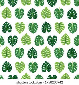 Monstera leaf green seamless repeat pattern. Great for tropical nature wallpaper, background, packaging, fabric, and giftwrap projects. Surface pattern design.