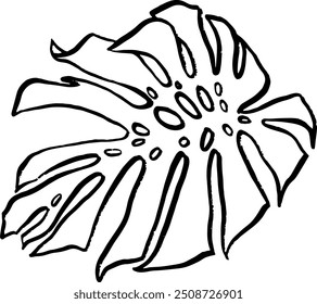 Monstera Leaf Hand Drawn Crayon Icon