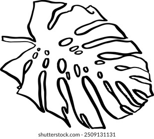 Monstera Leaf Hand Drawn Crayon Icon