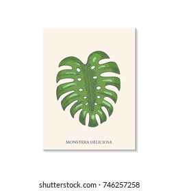 Monstera Leaf Hand Drawn Engrave. Vector illustration