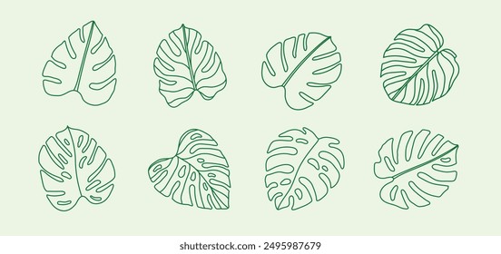 Hoja de Monstera dibujado a mano conjunto de contorno Hojas tropicales Silueta Arte vectorial Diseño gráfico Verano Verde Naturaleza Línea de dibujo Árbol Planta Vacaciones Orgánico Natural Mínimo Adulto Colorear Libro Doodle Sketch