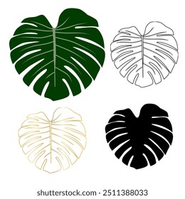 monstera Blatt handgezeichnet Umriss Set tropische Blätter matisse moderne geometrische Silhouette Vektorgrafik grün Natur Zeichnung Linie Baum Pflanze organisch natürliche minimal doodle Skizze