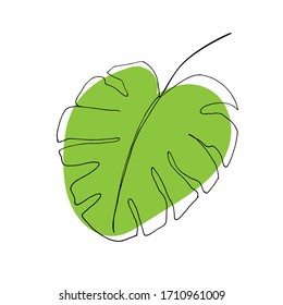 Monstera leaf hand-drawn. Simple linear illustration.
