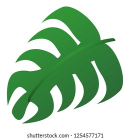 Monstera leaf icon. Cartoon of monstera leaf vector icon for web design isolated on white background