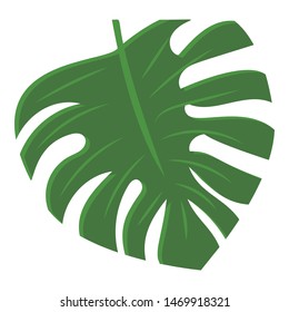 Monstera leaf icon. Cartoon of monstera leaf vector icon for web design isolated on white background
