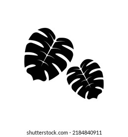Monstera leaf icon design isolated on white background. vector illustration