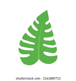 monstera leaf icon design template vector illustration