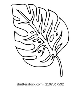 Monstera leaf icon, Hand drawn outline icon on white background
