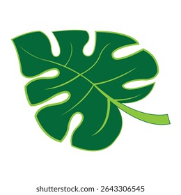 monstera leaf icon illustration design template