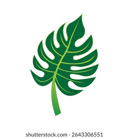 monstera leaf icon illustration design template