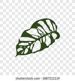 icono de la hoja de monstera en fondo transparente