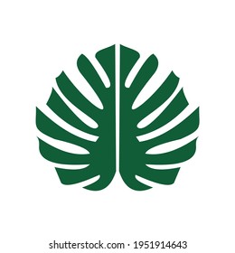 Monstera leaf icon vector design template