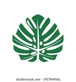 Monstera leaf icon vector design template